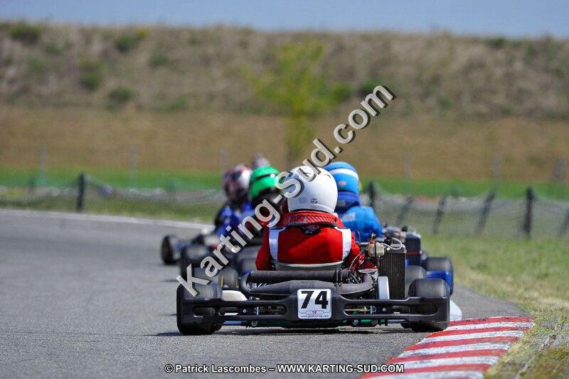 DSC_ (1404).jpg